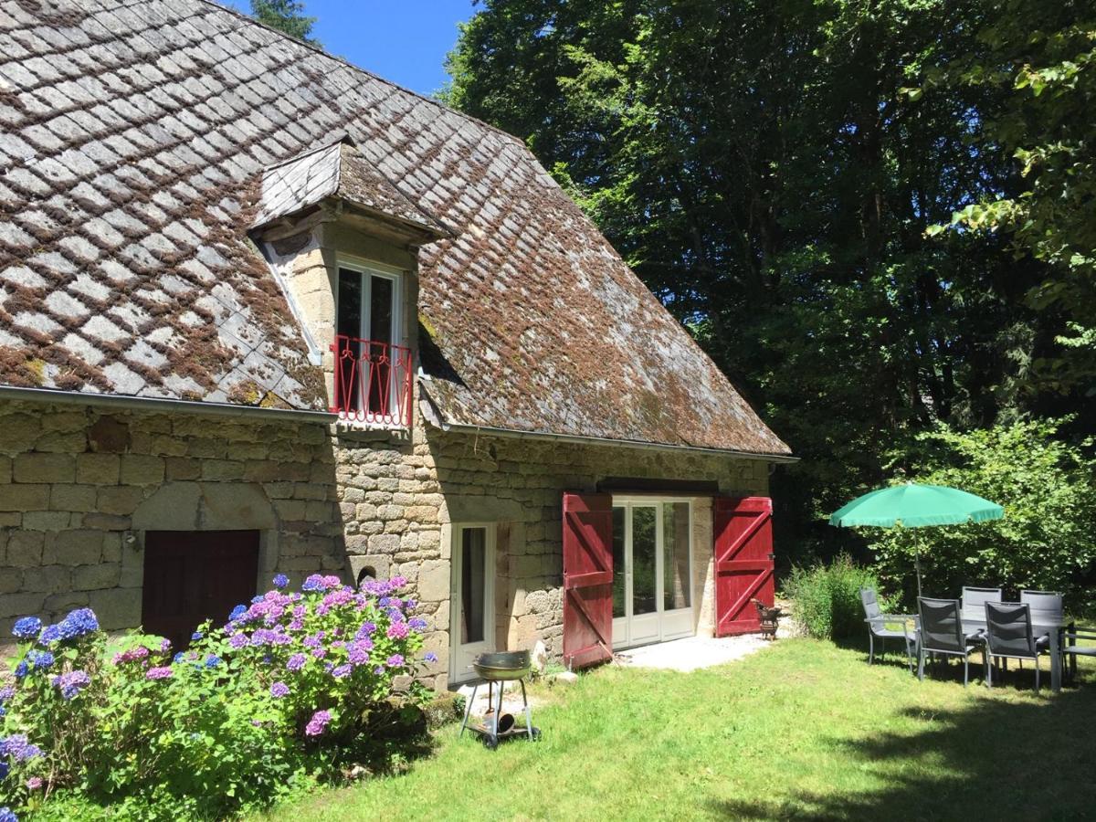 Gites Chateau Le Bois 圣朱利安奥博伊 外观 照片