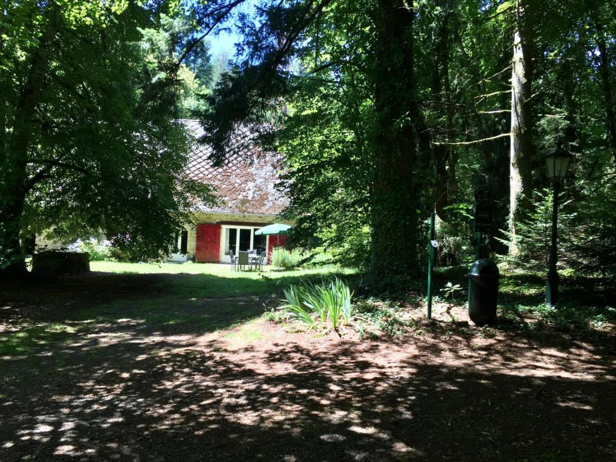 Gites Chateau Le Bois 圣朱利安奥博伊 外观 照片