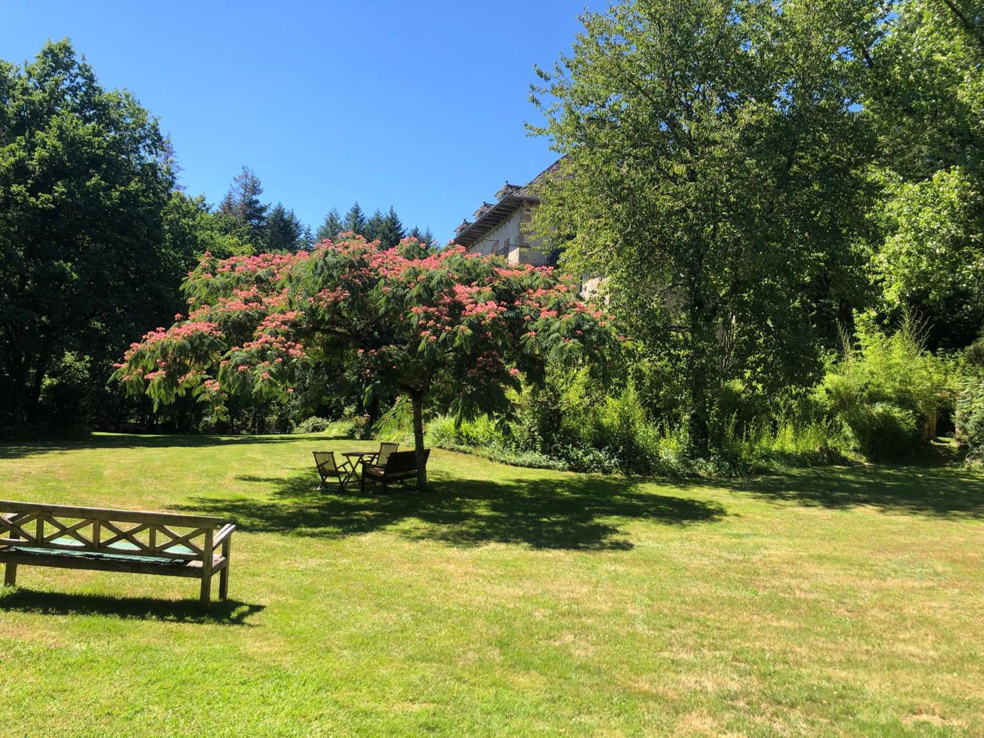 Gites Chateau Le Bois 圣朱利安奥博伊 外观 照片