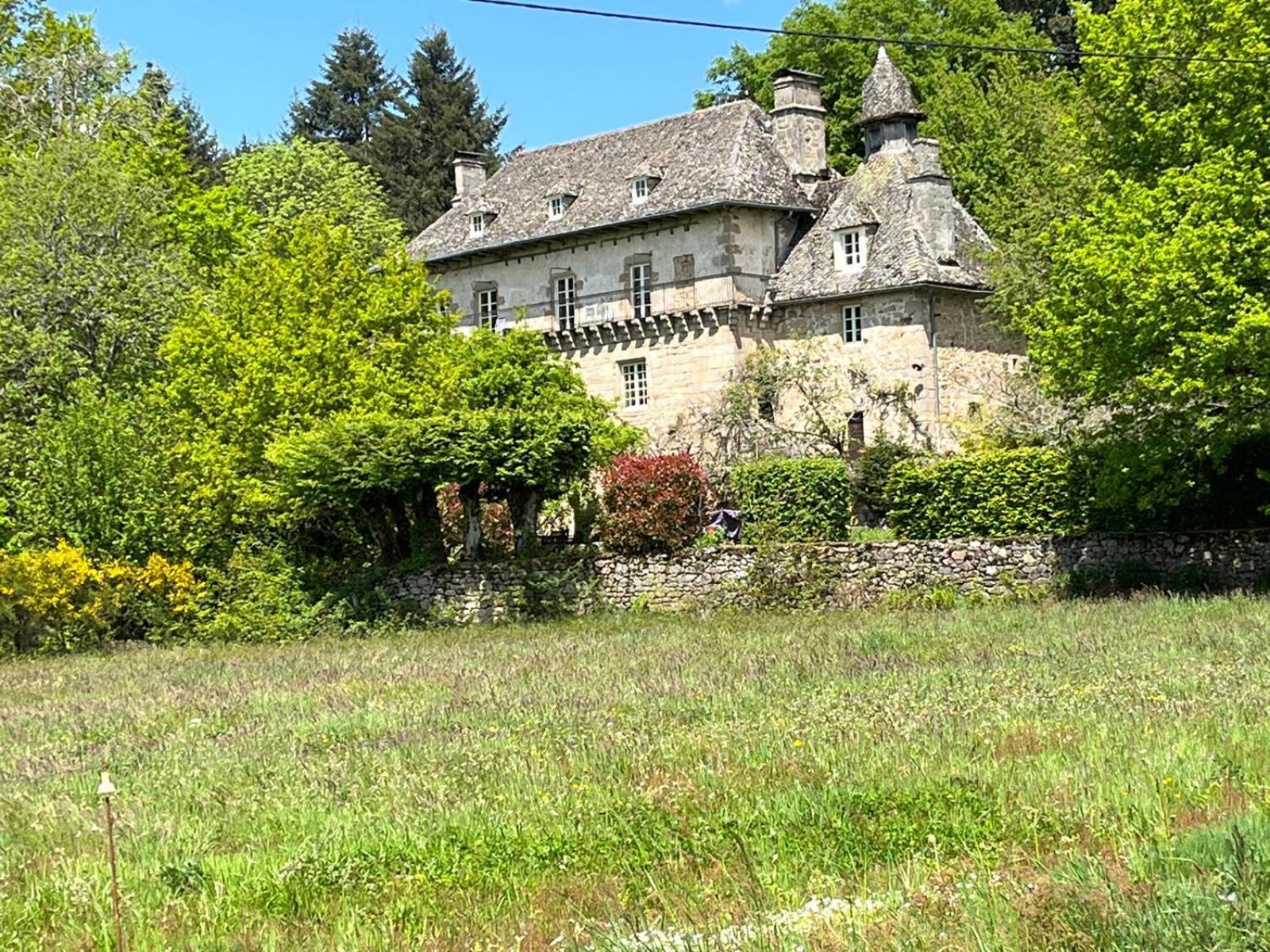 Gites Chateau Le Bois 圣朱利安奥博伊 外观 照片