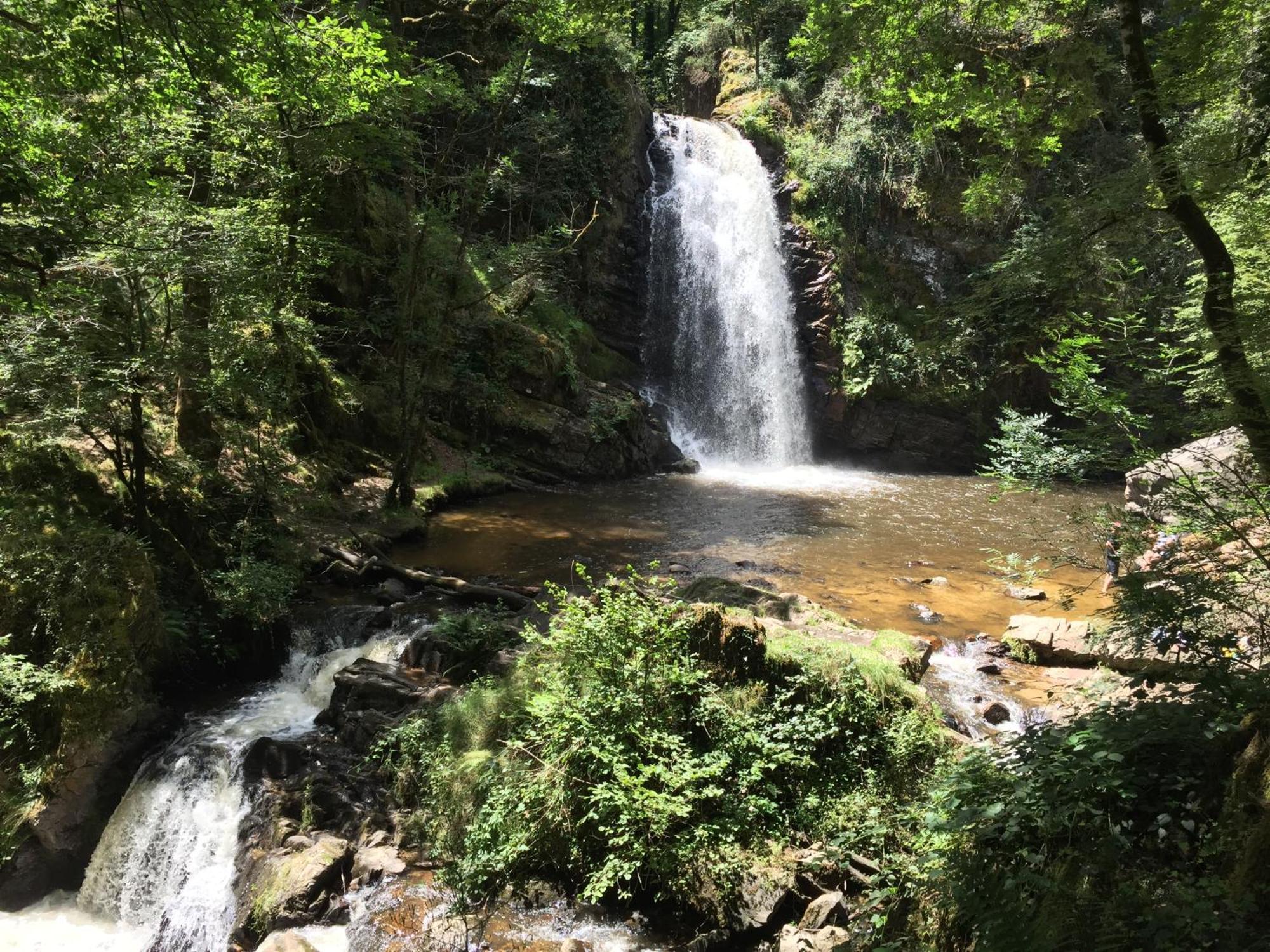 Gites Chateau Le Bois 圣朱利安奥博伊 外观 照片