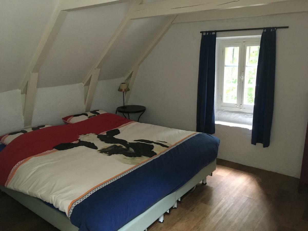 Gites Chateau Le Bois 圣朱利安奥博伊 外观 照片