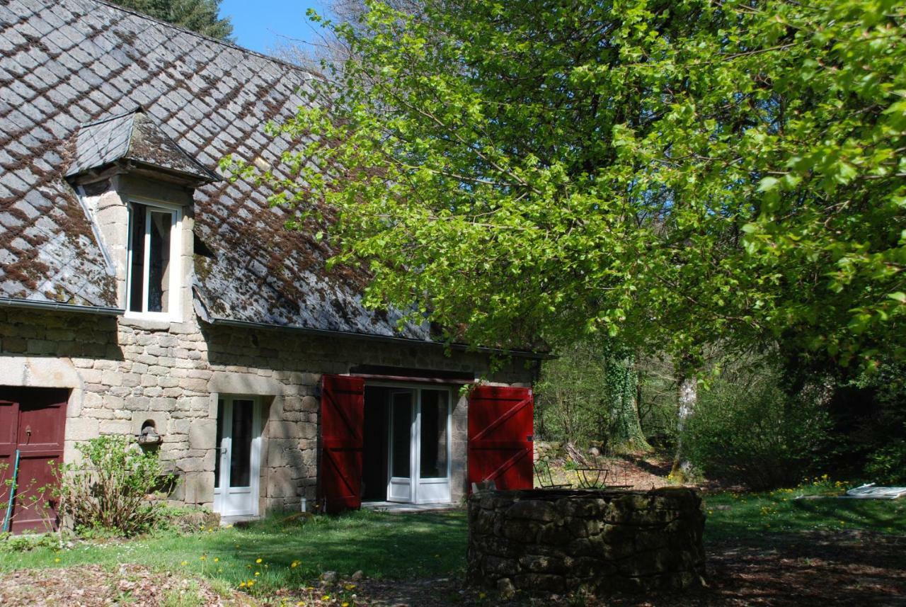 Gites Chateau Le Bois 圣朱利安奥博伊 外观 照片