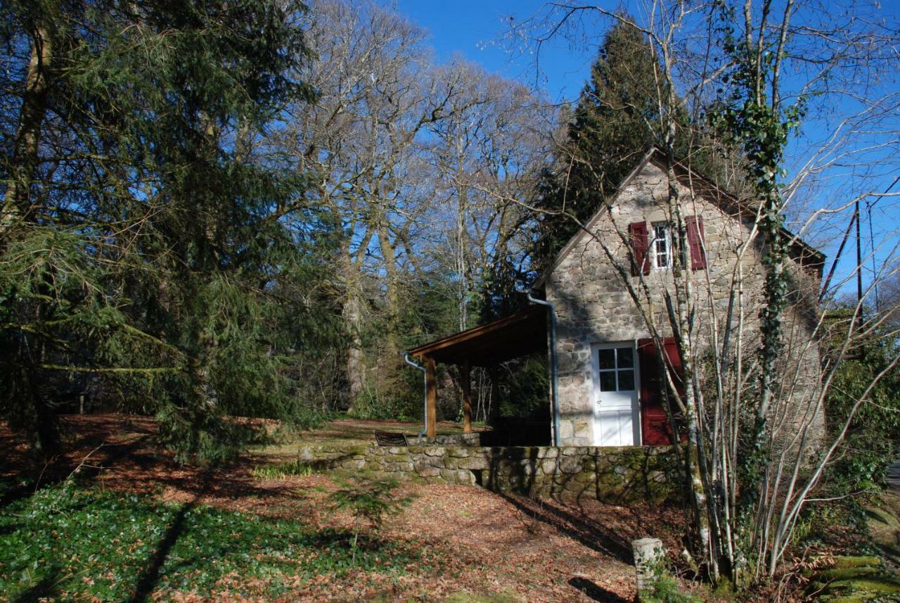 Gites Chateau Le Bois 圣朱利安奥博伊 外观 照片